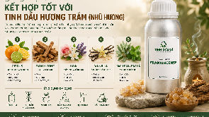Các Concept Mùi Kết Hợp Tốt Với Tinh Dầu Hương Trầm (Nhũ Hương)